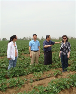 周慶鋒董事長(zhǎng)陪同商務(wù)部產(chǎn)業(yè)損害調(diào)查局顧春芳局長(zhǎng)馬鈴薯產(chǎn)區(qū)核查